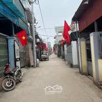 Bán Đất Tàm Xá Phân Lô Ô Tô Tránh Sát Vin Tàm Xá Vin Cổ Loa Ngay Cầu Nhật Tân 5 Phút Sang Tây Hồ