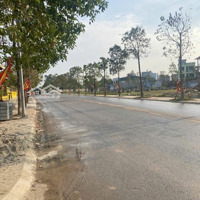 Bán Đất Tàm Xá Phân Lô Ô Tô Tránh Sát Vin Tàm Xá Vin Cổ Loa Ngay Cầu Nhật Tân 5 Phút Sang Tây Hồ