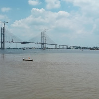 Bán Nhiều Vườn Bưởi Mặt Tiền Sông Tiền Thoáng Mát