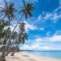 Bán Gấp Lô Đất Mặt Biển Diện Tích Gần 1000M2 - Có 300M2 Thổ Cư Mặt Biển Trực Diện - Mặt Đường Chí