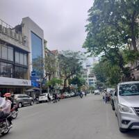 Bán nhà 44m2 phố Giang Văn Minh, Lô góc, Ngõ thông, Vừa ở vừa kinh doanh chỉ 10.x tỷ