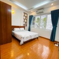 Bán nhà 44m2 phố Giang Văn Minh, Lô góc, Ngõ thông, Vừa ở vừa kinh doanh chỉ 10.x tỷ