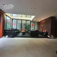 Nhà Nghỉ Dưỡng Trong Phố 127M X 7T-Mặt Tiền11,85M Hồng Tiến, Long Biên - Thang Máy - Kd - Oto Đỗ Cửa