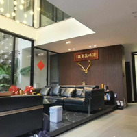 Nhà Nghỉ Dưỡng Trong Phố 127M X 7T-Mặt Tiền11,85M Hồng Tiến, Long Biên - Thang Máy - Kd - Oto Đỗ Cửa