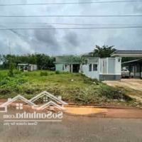 Ai Quan Tâm Đất Sạch Đất Đẹp Bình Phước Gọi Tôi, Đang Có Miếng Đất Đẹp Cần Bán