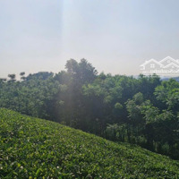 Bán Mảnh Đất View Hồ 1440M2 150M Thổ Cư Thoáng Đẹp Đường Ô Tô Tránh, Ba Trại Ba Vì Hà Nội, 2, 7 Triệu/M2