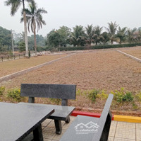Đất Trung Tâm Giá Rẻ Nhất Hà Nội, Chỉ 15 Triệu/M2. Cách Big C Thăng Long 30 Phút Di Chuyển