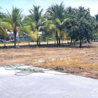 1310M² Thổ Cư + Cln | Diên Phú Hẻm Ô Tô Hương Lộ 45 | Vị Trí Cao Không Ngập Lụt
