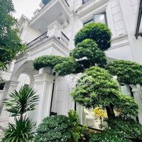 Chính Chủ Cho Thuê Song Lập Full Đồ Nội Thất Cao Cấp Vinhomes Ocean Park 1 Ở Ngay (Miễn Trung Gian)