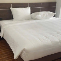 Bán Khách Sạn Vip Thành Phố Hạ Long - Lô Góc Diện Tích: 250M2 12T Mt30M Chỉ 55 Tỷ. Dòng Tiền 300 Triệu/Tháng.