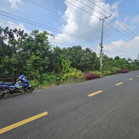 Kim Long, Đường Nhựa Tim Vàng Trục Chính 4652M2, 111M Mặt Đường, Vườn Trái Cây Bưởi, Chôm Chôm