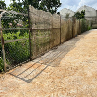 Lô Đất 500M2 Tới 1 Sào Thì Không Khó Giá Chỉ 1 Tỷ 699 Suối Thông B, Đơn Dương