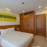 Cho Thuê Căn 3 Phòng Ngủ92M2 Căn Hộ Maple Nha Trang