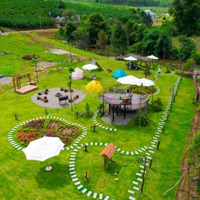 Cho Thuê Mặt Bằng Đất Kinh Doanh Tại Linh Đàm Mọi Loại Mô Hình Kinh Doanh Giấy Tờ Đầy Đủ 0913319386