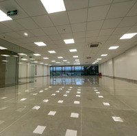 Cho Thuê Toà Nhà Yên Xá, Tân Triều, Thanh Trì, Hn.diện Tích250M2, 8 Tầng 1 Hầm, Thông Sàn, Thang Máy