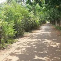 Chủ Gửi Bán Lô Đất Siêu Đẹp, Suối Nghệ - Châu Đức