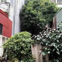 Bán Đất Tại Đường Thúy Lĩnh, Lĩnh Nam, Hoàng Mai, Hà Nội, Giá Cực Chất 6,9 Tỷ, 60M2