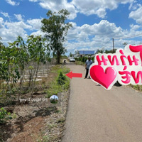 Bán Đất Cẩm Đường, Long Thành, Đồng Nai Đối Diện Khu Thương Mại Sân Bay Giá Bán 3Tyxx Giá Tốt Khu Vực