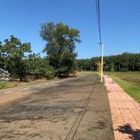 Đất Nhà Vườn Đẹp, Có Kế Hoạch Mới Nên Nhượng Lại Cho Người Thiện Chí