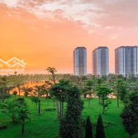 Bán Lô Liền Kề Thanh Hà Giá Giảm 30 40%, Liên Hệ: 0981391096