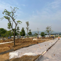 Có 102! Đất Nền Cạnh Kcn Nhuận Trạch Chỉ Nhỉnh 1 Tỷ/ Lô Full Thổ Cư