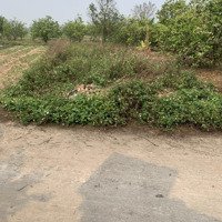 Cơ Hội Tích Lũy Tài Sản Chỉ Với 600 Triệu Tại Thị Trấn Bắc Lí Trung Tâm Mới Của Thị Xã Hiệp Hòa