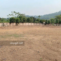 626 M2 (200 Thổ Cư) Vuông Đẹp View Núi Ba Vì, Cách Tỉnh Lộ Có 30 M Mà Giá Chưa Đến 3 Tỷ