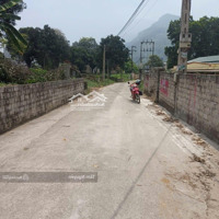 626 M2 (200 Thổ Cư) Vuông Đẹp View Núi Ba Vì, Cách Tỉnh Lộ Có 30 M Mà Giá Chưa Đến 3 Tỷ