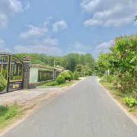 Bán Nhanh - Cần Vốn Mtđ Nguyễn Thìn, 600 Triệu/120M2, Gò Công, Shr.