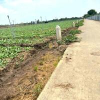 330tr bán đất thổ cư, đường ôtô tại Bình Ân, Gò Công Đông,Tiền Giang.