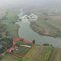 Bán 2261M2 Có 400M2 Thổ Cư Bám Sông Bôi Bám Đường Bê Tông 50M Lạc Thuỷ Hoà Bình, 3,X Tỷ