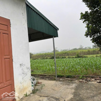 Bán 2261M2 Có 400M2 Thổ Cư Bám Sông Bôi Bám Đường Bê Tông 50M Lạc Thuỷ Hoà Bình, 3,X Tỷ