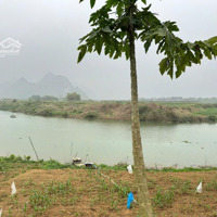 Bán 2261M2 Có 400M2 Thổ Cư Bám Sông Bôi Bám Đường Bê Tông 50M Lạc Thuỷ Hoà Bình, 3,X Tỷ