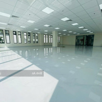 Tòa Nhàmặt Tiềnđường Cộng Hòa 15X25M Hầm 5 Lầu Cho Thuê