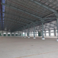 Cho Thuê Xưởng 5.940M Kcn Phú Chánh, Pccc Tự Động, Trạm Điện 630Kva, Pháp Lý Đầy Đủ
