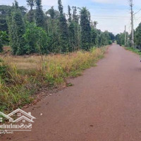 Gần 500M2 Đất Thị Trấn Ngãi Giao. Đường Nhựa, Khu Dân Cư. Phủ Hồng Hết Đất