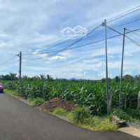 Bán Đất Mặt Tiền Nhựa Ngãi Giao Thích Hợp Làm Nhà Vườn