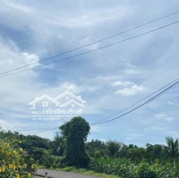 Bán Đất Mặt Tiền Nhựa Ngãi Giao Thích Hợp Làm Nhà Vườn