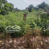 Đường Nhánh Tri Kỷ - Ngãi Giao - Châu Đức Ra Trung Tâm 2Km