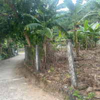Siêu Phẩm! Chỉ 950 Triệu Sở Hữu Ngay Lô Đất Thôn Nam Yên, Hòa Bắc, Hòa Vang, Liên Hệ: 0934888092