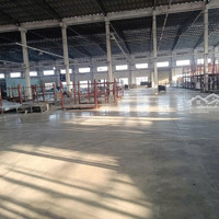 Cho Thuê Xưởng 10.000M Kcn Mỹ Phước Pccc Tự Động, Trạm Điện 630Kva, Vào Sản Xuất Ngay