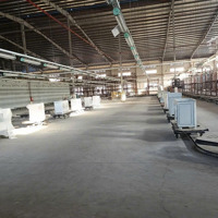 Cho Thuê Xưởng 10.000M Kcn Mỹ Phước Pccc Tự Động, Trạm Điện 630Kva, Vào Sản Xuất Ngay