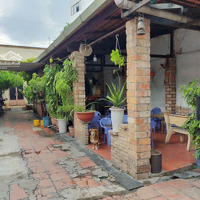 Bán Nhà Cấp 4 Hơn 500M2, Hẻm 5M Cách Lê Văn Việt 50M, Tiện Xây Tòa Nhà Văn Phòng, Chdv Giá Bán 62 Tỷ