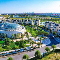 Biệt Thự Song Lập Giá Tốt Nhất Phân Khu Ngọc Trai - Vinhomes Ocean Park