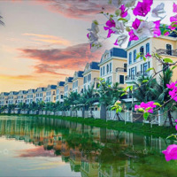 Biệt Thự Song Lập Giá Tốt Nhất Phân Khu Ngọc Trai - Vinhomes Ocean Park