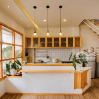 Cho Thuê Homestay - Phường 2, Đà Lạt - 8 Phòng - Full Nội Thất, Sân Bbq