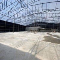 Cho Thuê 1600M2 Đất - Thích Hợp Làm Sân Cầu Lông, Pickleball - Khu Liên Hiệp Thể Thao, P7, Đà Lạt