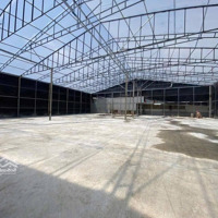 Cho Thuê 1600M2 Đất - Thích Hợp Làm Sân Cầu Lông, Pickleball - Khu Liên Hiệp Thể Thao, P7, Đà Lạt