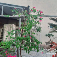 Cơ Hội Sở Hữu Lô Đất Cực Hiếm Tặng Kèm Nhà Cấp 4 Sẵn Ở. Phường An Hưng Tp Thanh Hóa