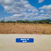 Bán Đất Gần Đà Lạt, Sổ Hồng Riêng, Giá Chỉ 520 Triệu, Cơ Hội Đầu Tư Sinh Lời, Nghỉ Dưỡng Lý Tưởng